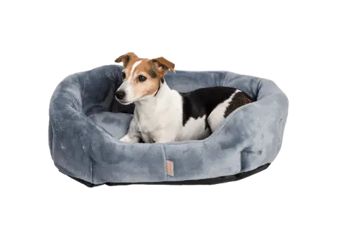 Pet bed